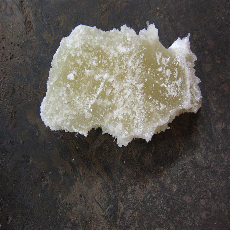 大骚逼茹影院